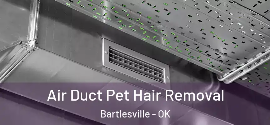 Air Duct Pet Hair Removal Bartlesville - OK