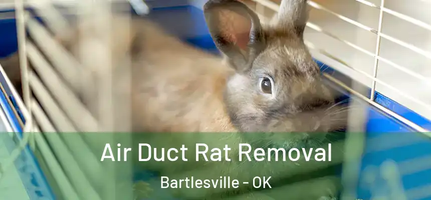 Air Duct Rat Removal Bartlesville - OK