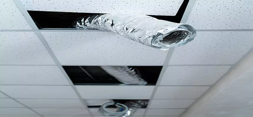 Affordable HVAC Sanitizing After Pest Removal in Bartlesville