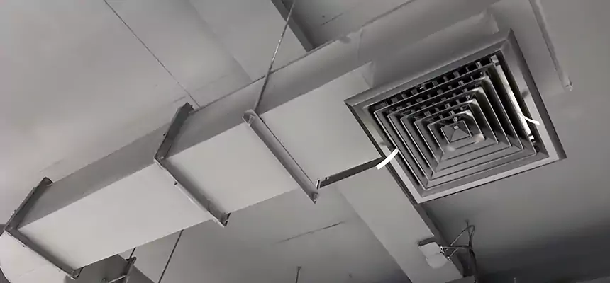 Our Pest Removal From Ducts Services in Bartlesville, OK