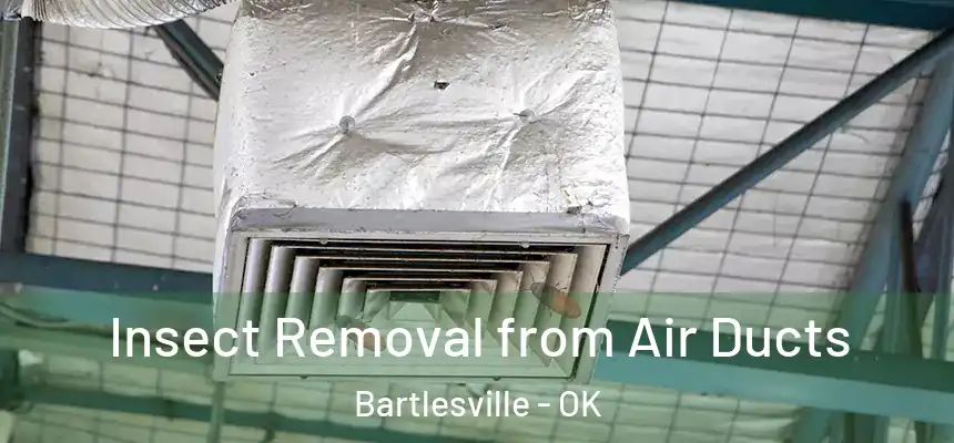  Insect Removal from Air Ducts Bartlesville - OK