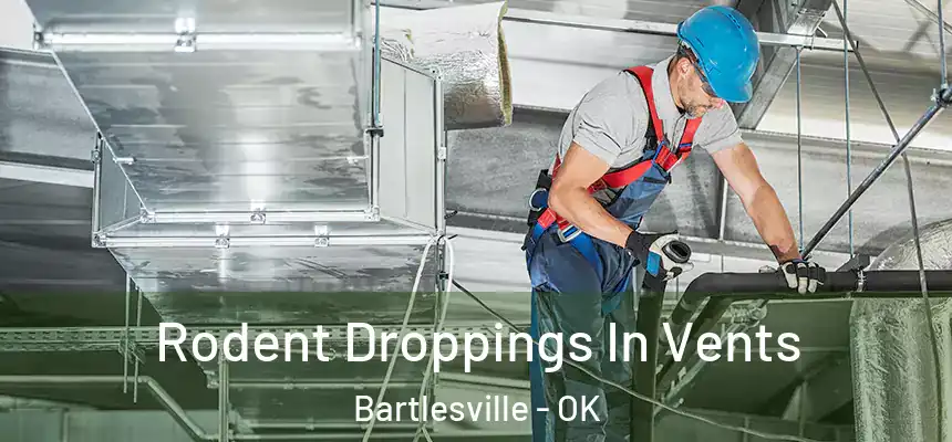 Rodent Droppings In Vents Bartlesville - OK