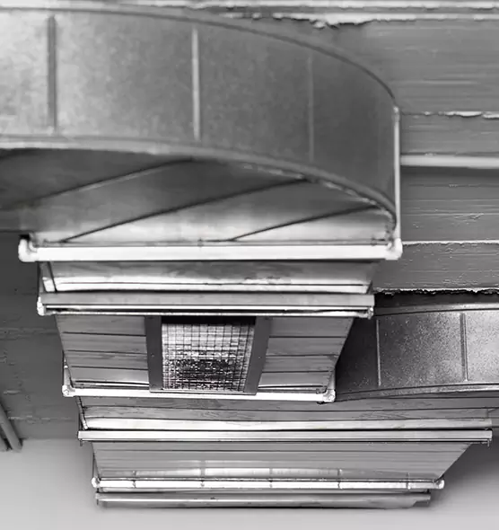 Professional Air Duct Pest Removal in Bartlesville, OK