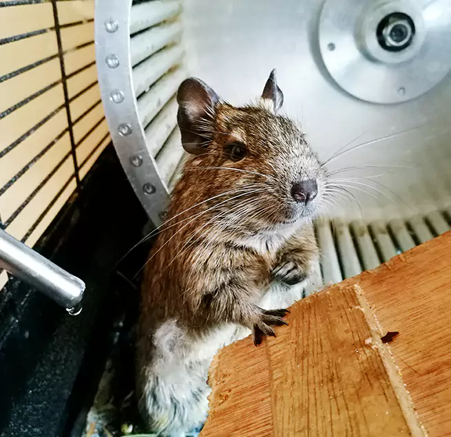 Why Homeowners & Businesses Trust Us Bartlesville, OK